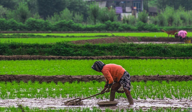 عوامل زیان آور بیولوژیک